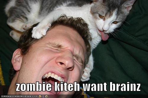 Funny Flames : Zombie Kittehs! funny zombie. Funny Flames : Zombie Kittehs!