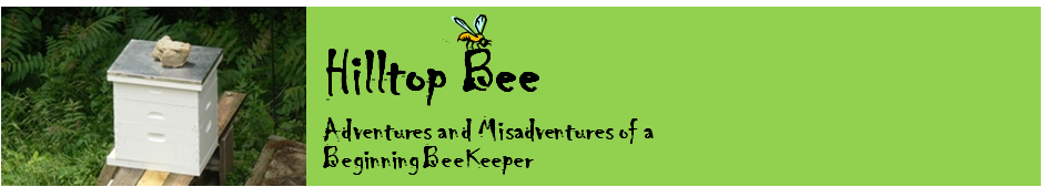 Hilltop Bee