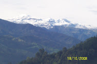 MANIZALES