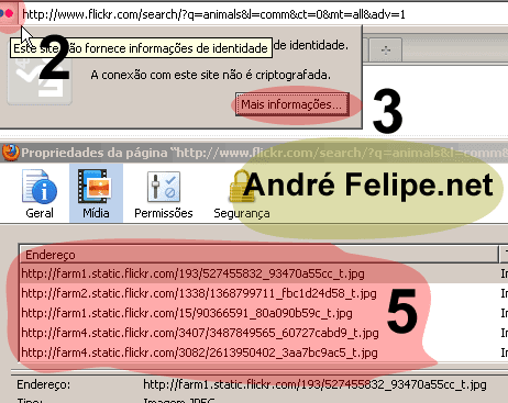 Screenshot de exemplo dos passos