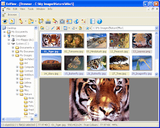 XnView v1.93 Beta 1 Portable