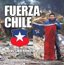 ¡¡ FUERZA CHILE !!