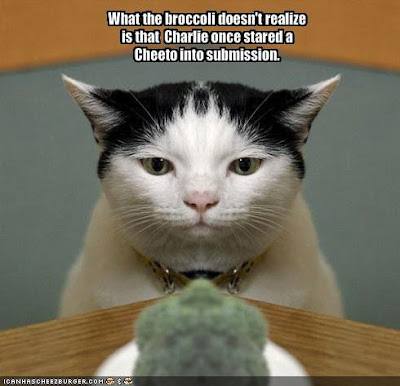 Lolcat+love+you