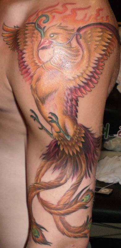 phoenix tattoos best phoenix tattoo this week 5