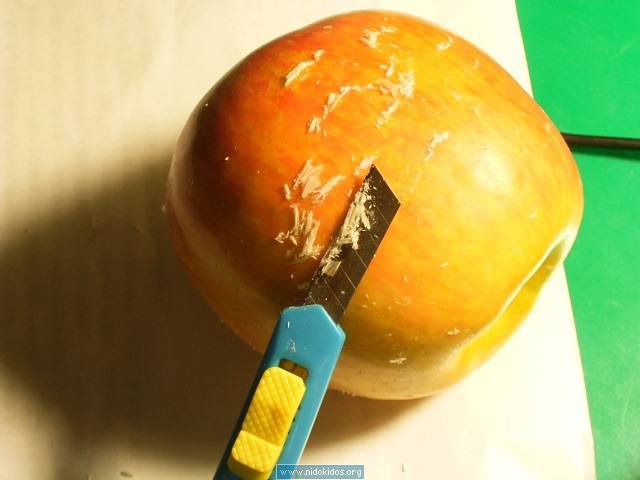 http://4.bp.blogspot.com/_ba8Cj5O8t9g/S7_stDbGOWI/AAAAAAAAAEM/rRwYMskLv7I/s1600/epal1.jpg