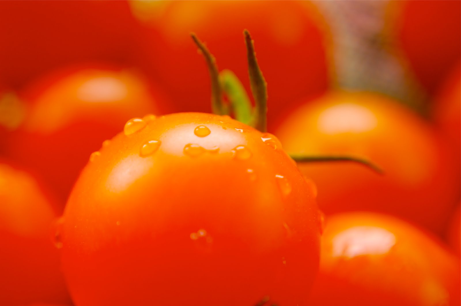 Four Green Acres Savoring the harvest Sungold tomato jam