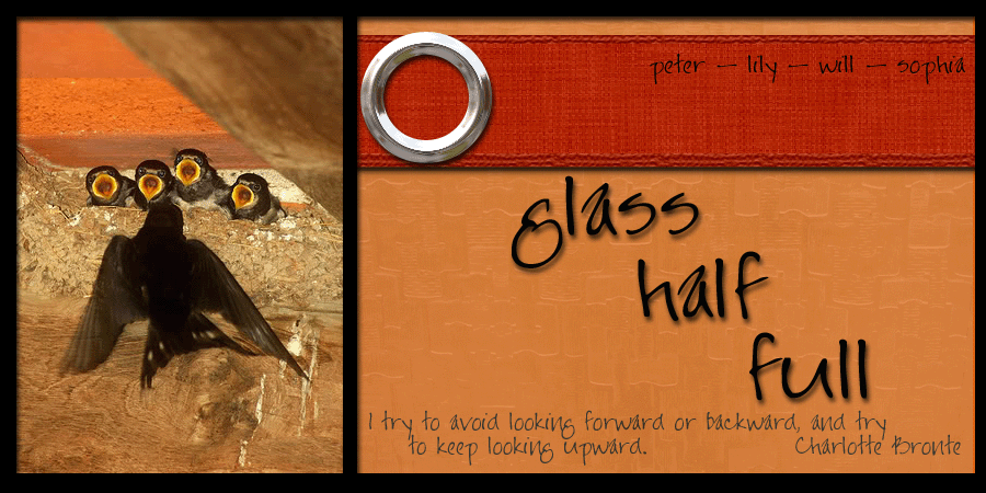 glass half full