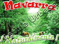 Casa Rural Navarra Urbasa Urederra, Parque Natural Urbasa Andía y Lókiz, casa rural navarra, casas rurales en navarra, Navarra Naturalmente Información Turística, Turismo Rural Navarra, Sierra de urbasa, Sierra de Lókiz, Asociación Turística Astule Urbasa, Turismo Rural Naturalmente en Navarra. Casa Rural Navarra, Selva del Irati, Nacedero Río Urederra. Rutas y excursiones Naturalmente en Navarra. Casa Rural Navarra Urbasa Urederra Agroturismo y Turismo Rural, Pirineos de Navarra, Rutas y excursiones por Urbasa y Lókiz, Estella Lizarra Ciudad Medieval, Colegiata Roncesvalles, Robledal de Orgi, Castillo de Olite, Cuevas de Urdax y Zugarramurdi, Belagua, Reserva Natural demarra, Laguna de Pitillas, Laguna de las Cañas en Viana, Iglesia de Eunate, Estella Lizarra Ciudad Medieval, Monasterio de Irache, Monasterio de Iranzu, Monasterio de la Oliva, Monasterio de Leyre, Foz de Lumbier, Foz de Arbayun, Bardenas Reales de Navarra, Senda Viva en Arguedas, San Miguel de Aralar, Pamplona y San Fermín, Puente la Reina, Uxue, Castillo de Javier, Camino Santiago en Navarra, Vía Verde Vasco Navarro, Vía Verde Plazaola, Vía Verde Tarazonica,Pirineos de Navarra, Parque Natural Bértiz, Parque Natural Bardenas Reales, Parque Natural Aralar, Parque Natural Entzía, Parque Natural Izki, Senderismo en Navarra, BTT en Navarra,