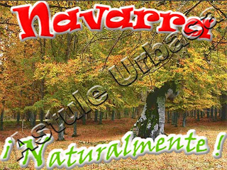 Hayedos de Navarra, vía verde ferrocarril vasco navarro, Casa Rural Navarra Urbasa Urederra, Parque Natural Urbasa Andía y Lókiz, casa rural navarra, casas rurales en navarra, Navarra Naturalmente Información Turística, Turismo Rural Navarra, Sierra de urbasa, Sierra de Lókiz, Asociación Turística Astule Urbasa, Turismo Rural Naturalmente en Navarra. Casa Rural Navarra, Selva del Irati, Nacedero Río Urederra. Rutas y excursiones Naturalmente en Navarra. Casa Rural Navarra Urbasa Urederra Agroturismo y Turismo Rural, Pirineos de Navarra, Rutas y excursiones por Urbasa y Lókiz, Estella Lizarra Ciudad Medieval, Colegiata Roncesvalles, Robledal de Orgi, Castillo de Olite, Cuevas de Urdax y Zugarramurdi, Belagua, Reserva Natural Río Urederra,, Laguna de Pitillas, Laguna de las Cañas en Viana, Iglesia de Eunate, Estella Lizarra Ciudad Medieval, Monasterio de Irache, Monasterio de Iranzu, Monasterio de la Oliva, Monasterio de Leyre, Foz de Lumbier, Foz de Arbayun, Bardenas Reales de Navarra, Senda Viva en Arguedas, San Miguel de Aralar, Pamplona y San Fermín, Puente la Reina, Uxue, Castillo de Javier, Camino Santiago en Navarra, Vía Verde Vasco Navarro, Vía Verde Plazaola, Vía Verde Tarazonica,Pirineos de Navarra, Parque Natural Bértiz, Parque Natural Bardenas Reales,