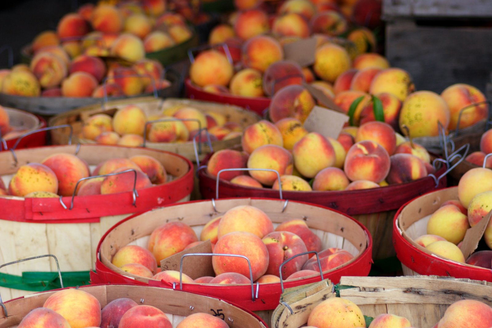 [GrissomPeaches01.JPG]