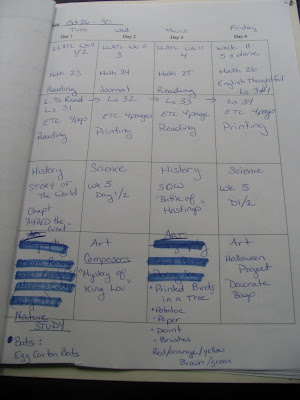 lesson plan template and lesson plan book. lesson plan template and
