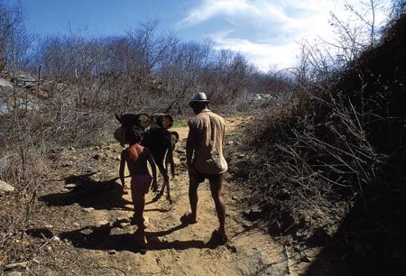 [Seca+no+Nordeste.jpg]