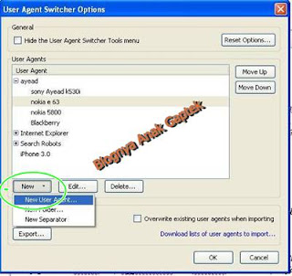 lalu new user agent dan isi user agent hp sobat di kolom "user agent"