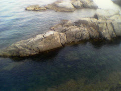 ¿QUÉ IMPACTO RECIBE UN CUERPO DE 80 kg SI CAE AL AGUA DESDE 20 m DE ALTURA?