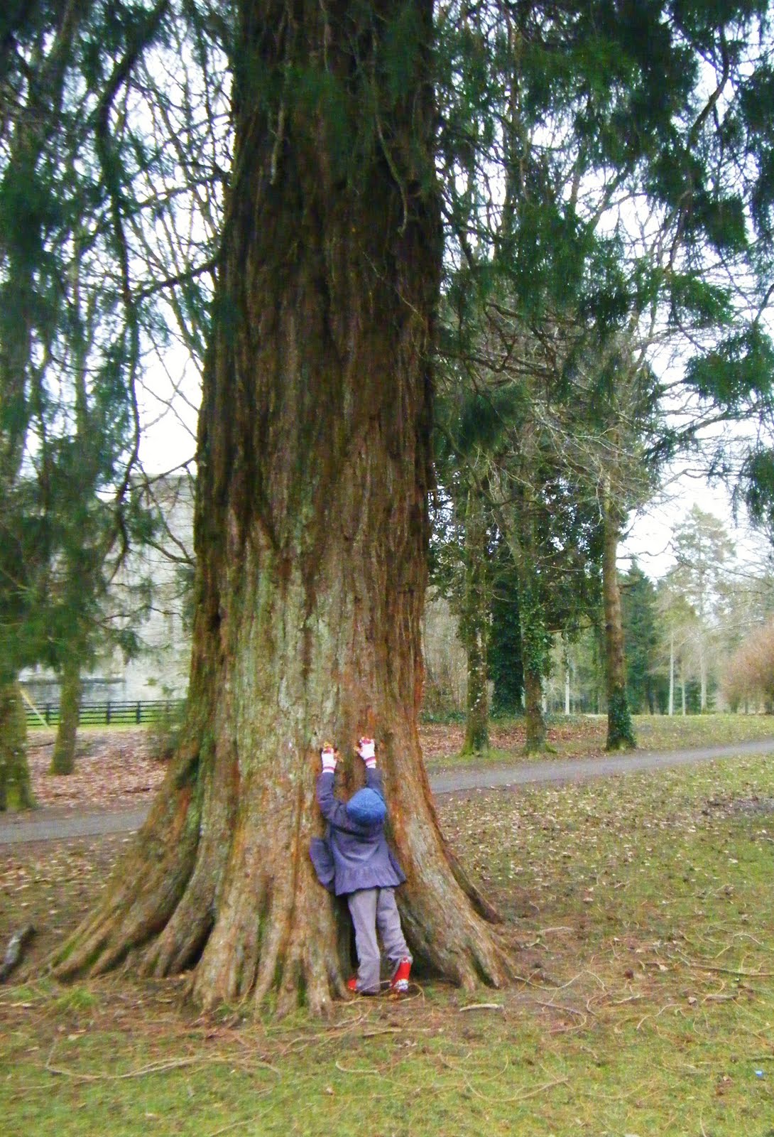 it when it was Arbor Day,