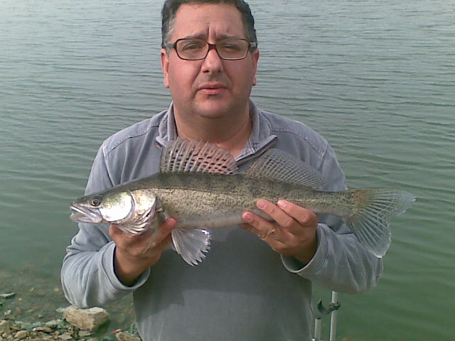 [Img070.jpg]