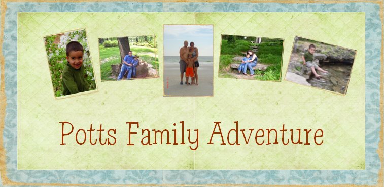 The Potts Family Adventure