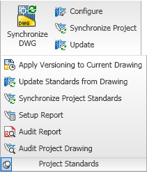 [06-ManageTab-ProjectStandardsPanel.png]