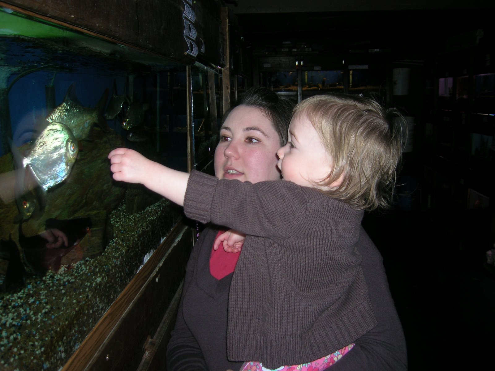 [DSCN2342.JPG]