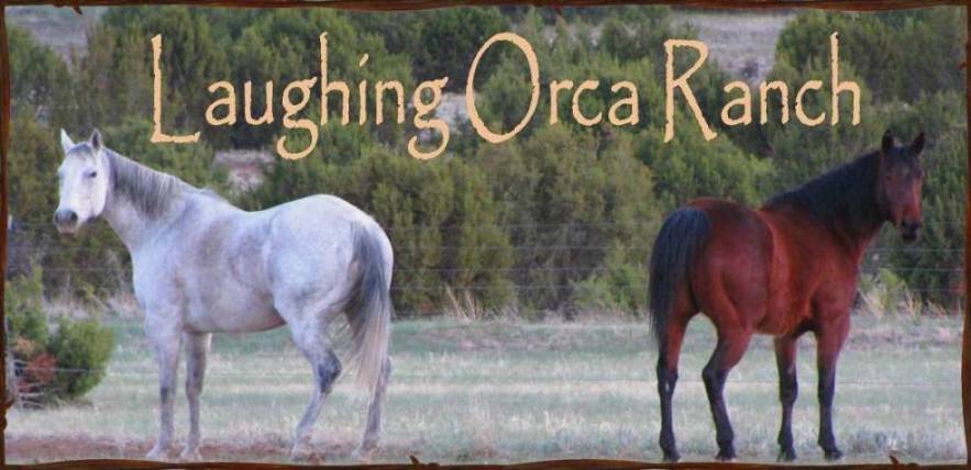 Laughing Orca Ranch