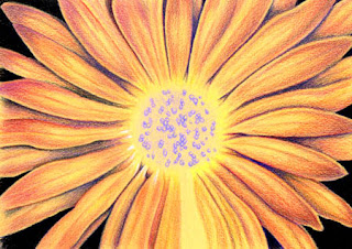 Daisy WIP by Jennifer Phillip Daisy by Jennifer Phillip