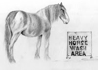 drawing of a horse copyright jennifer rose phillip