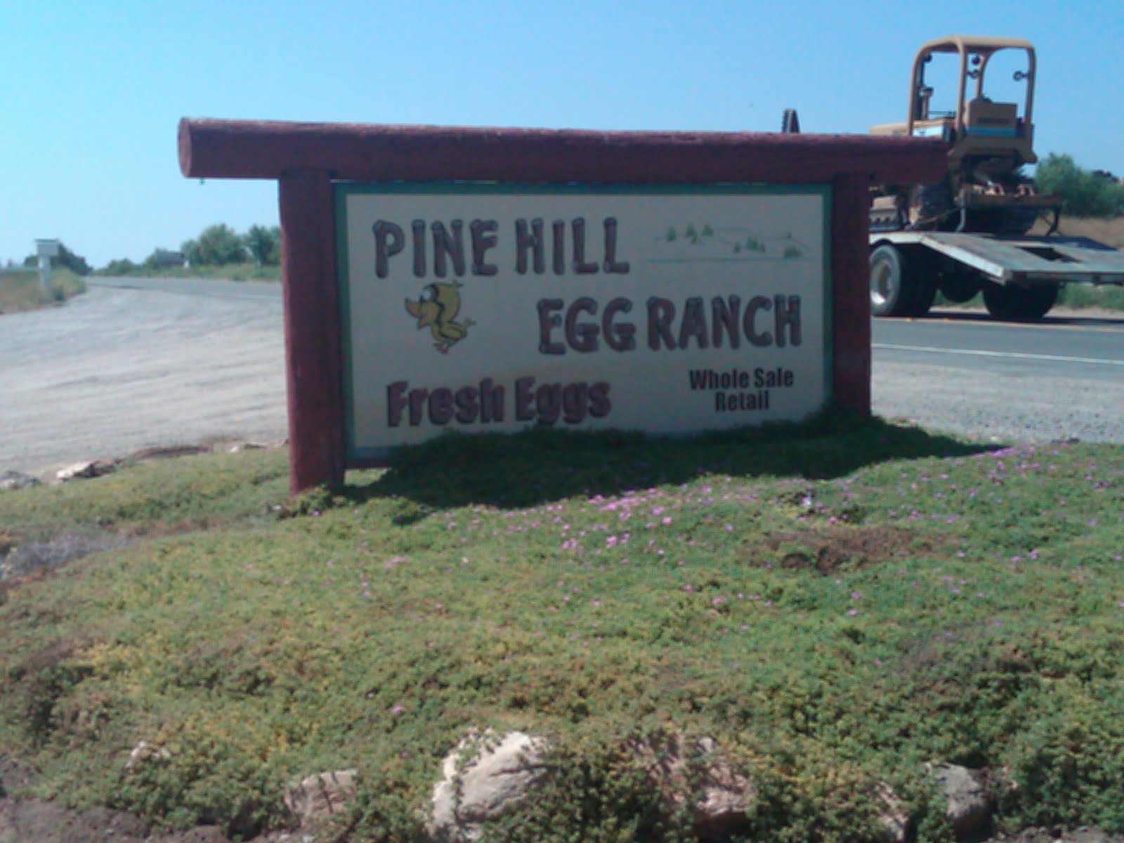 Bracken Ridge Ranch - Craft Eggs