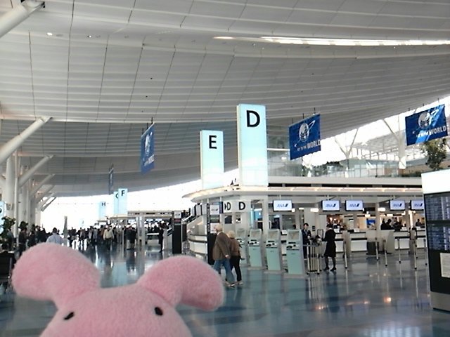 新潟生まれのキャラクター もち うさぎとおさんぽ 羽田空港国際線ターミナル