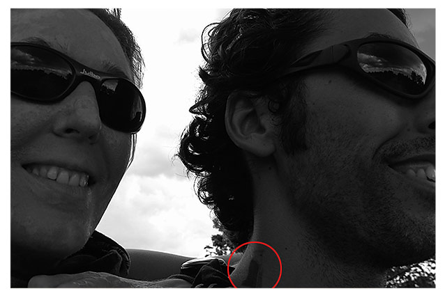 [paltruc_post12.jpg]