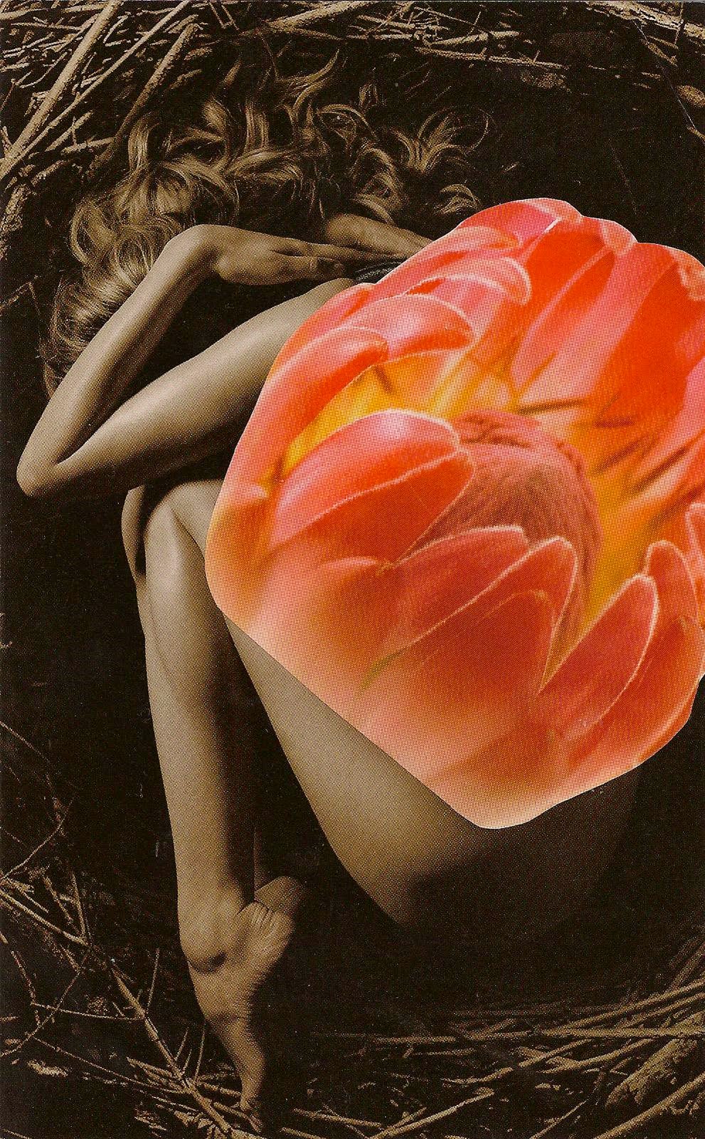 [new+blooms.jpg]
