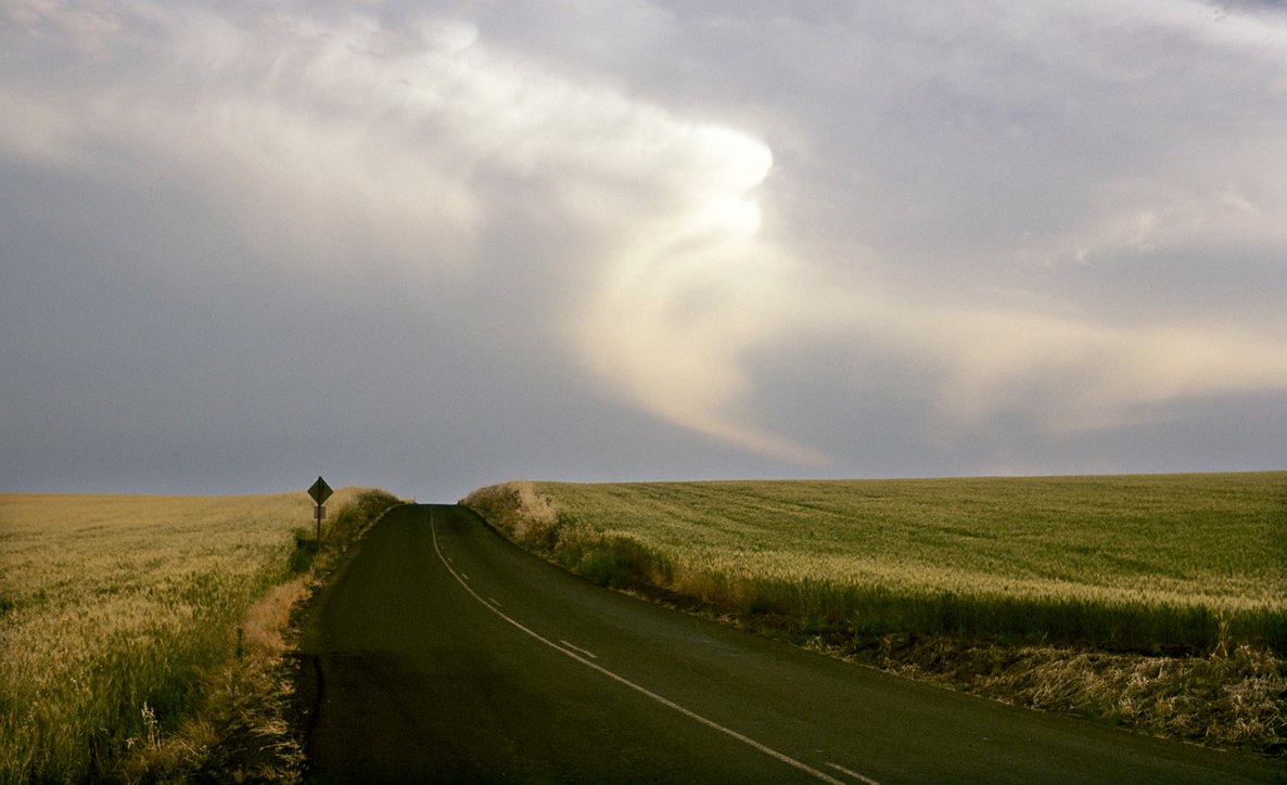 [green+road]