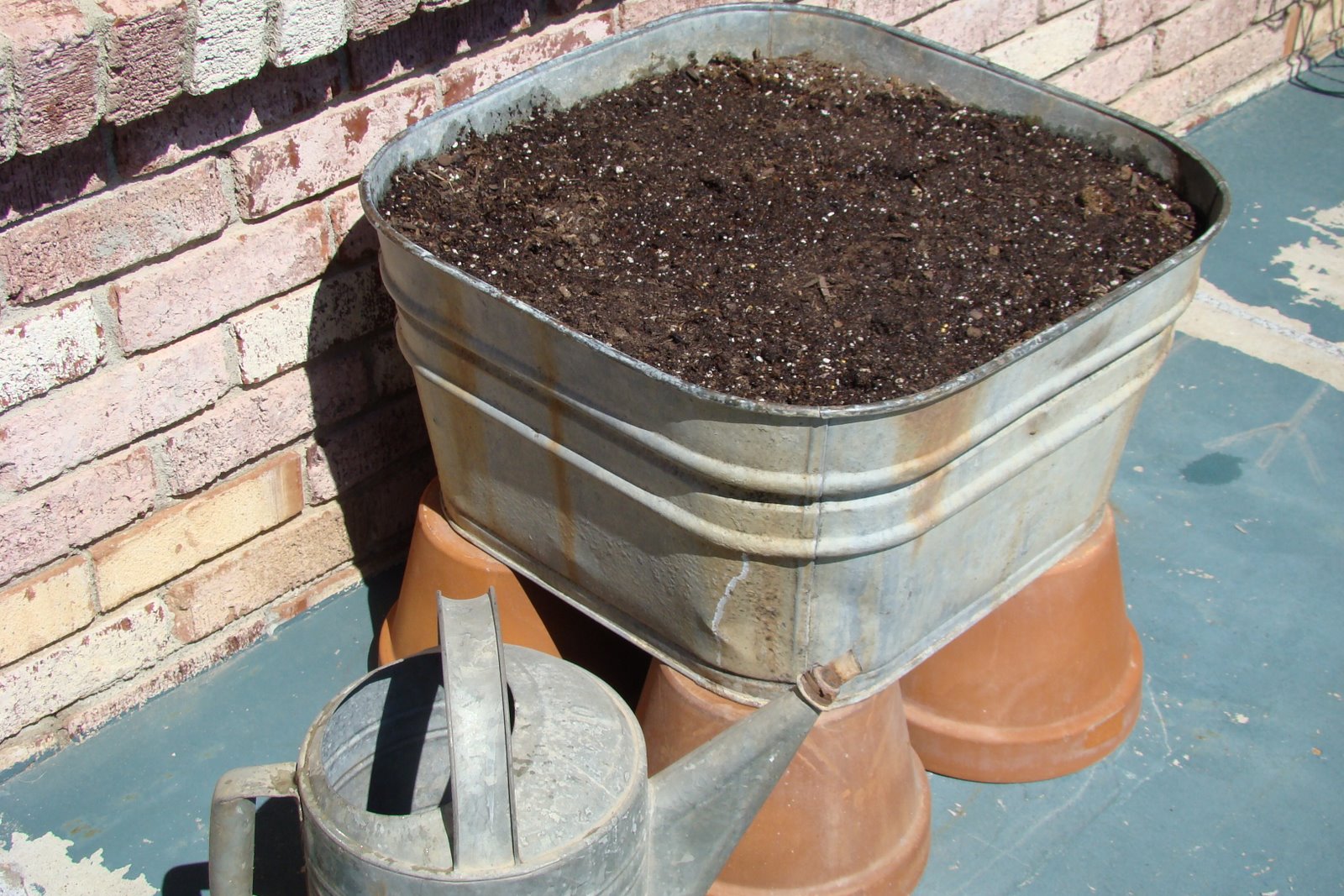 Our Treasured Home Planting Potatoes