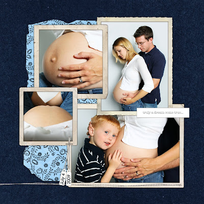Pregnancy Diary on New Baby Grant Pregnancy Journal