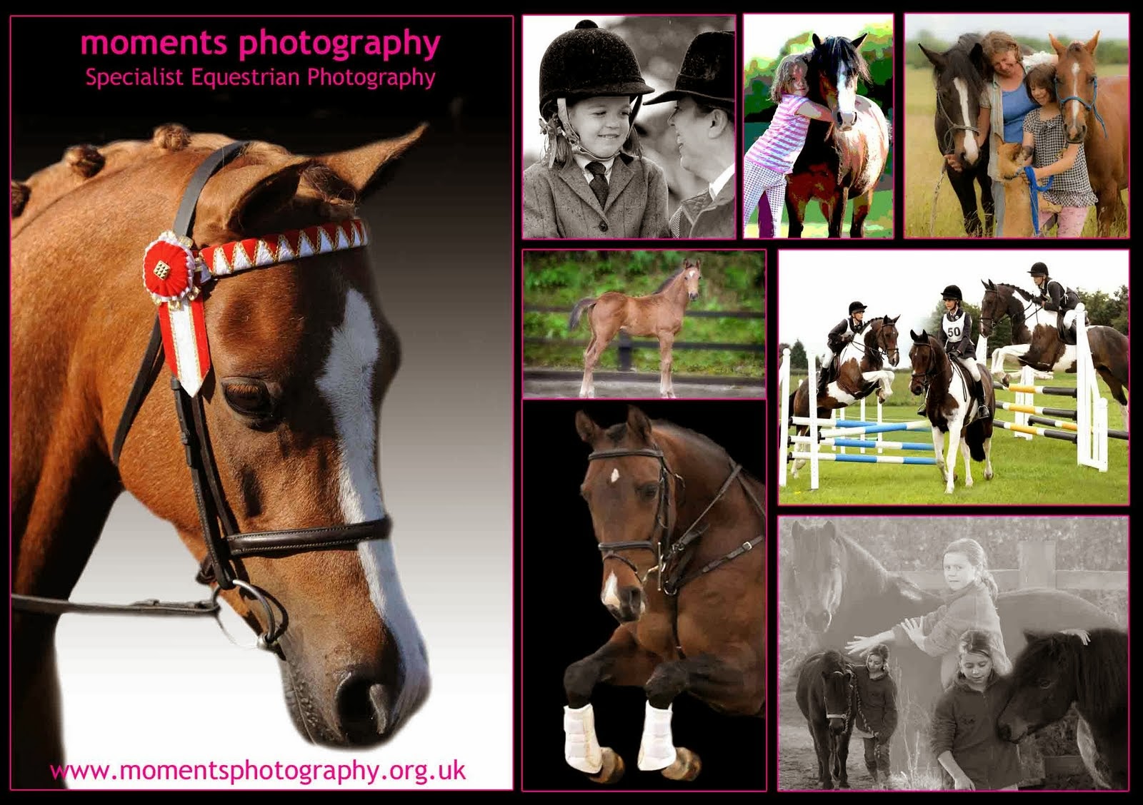 [A5+Equestrian-1LR.jpg]