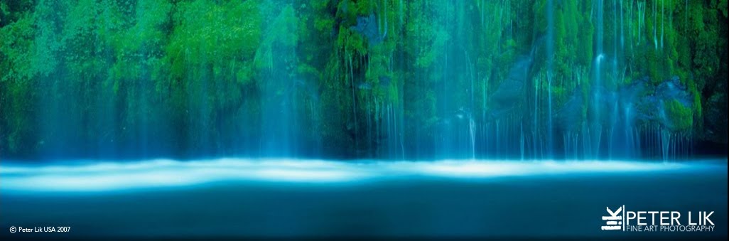 peter lik peter lik