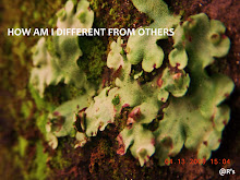 HOW AM I DIFFERENT FROM OTHERS?