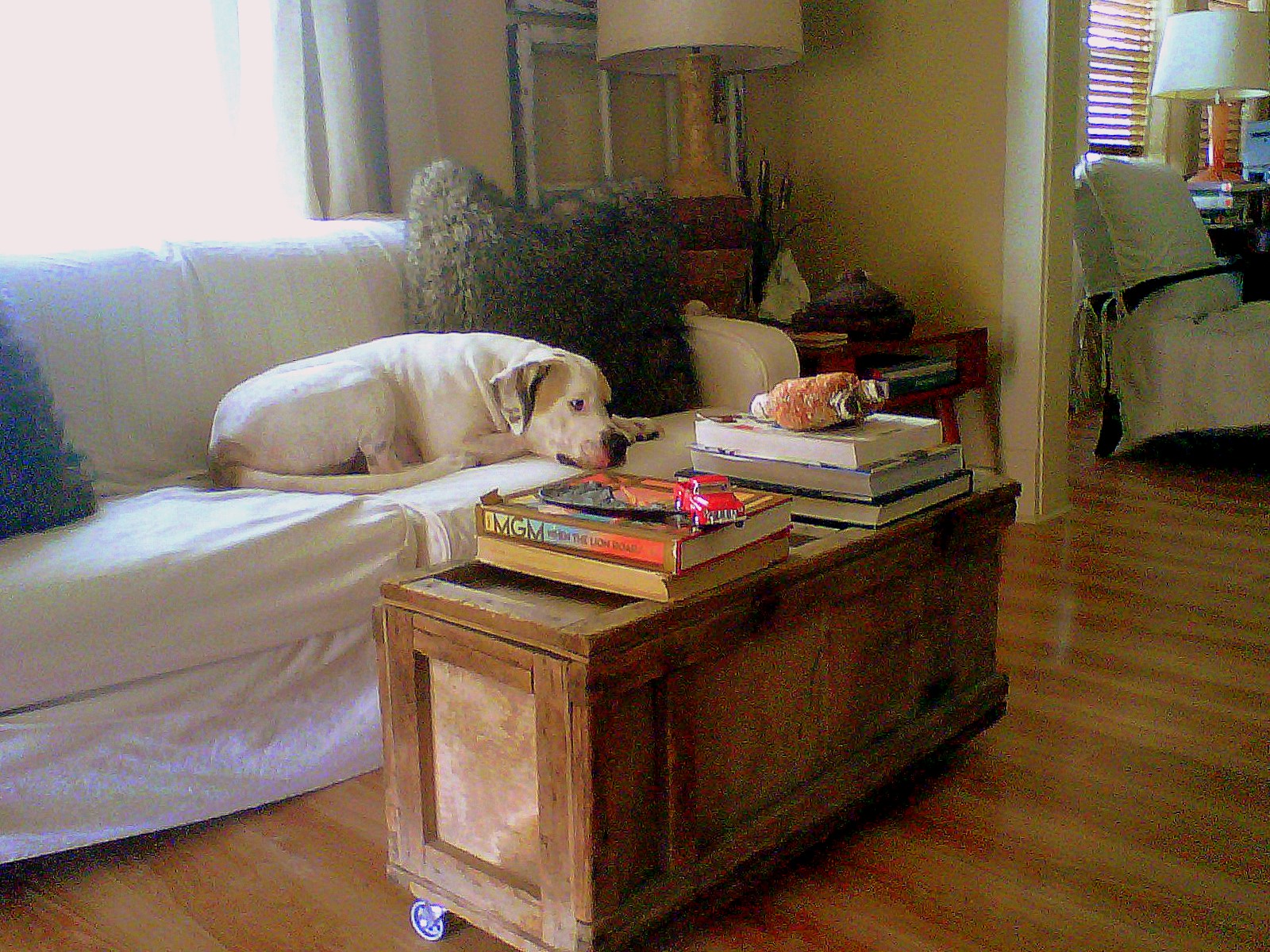 Some of my favorites: old equipment crate as coffee table, piles of title=