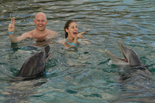 Dorking Out with Dolphins