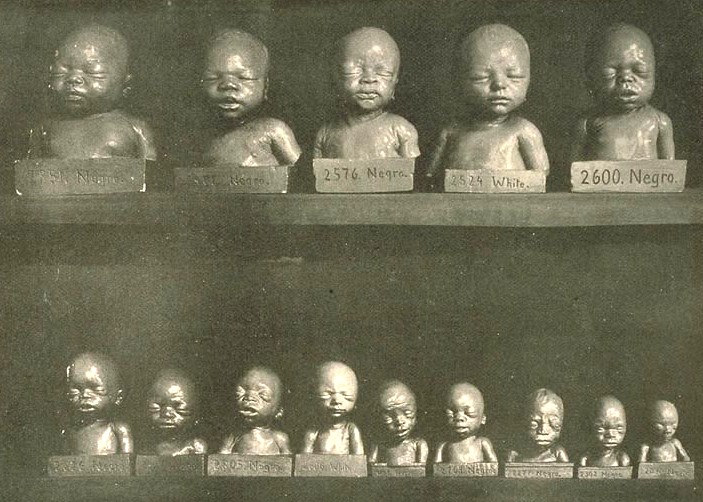 [eugenics+record+office.jpg]