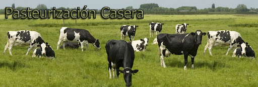 Pasteurización Casera