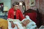 [FILM+—+Le+chat+(naar+Simenon).jpg]