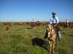 [ARTE+—+docu+—+paarden+(Argentinië).jpg]