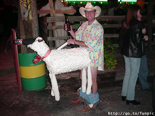 [sheepfucker.jpg]