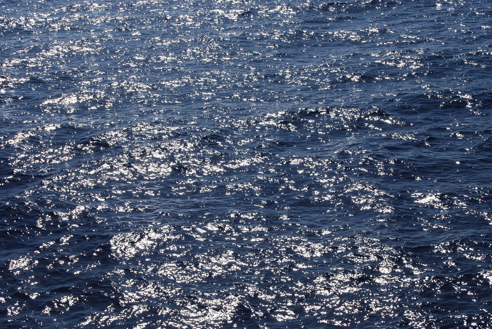 [DSC_0174.JPG]