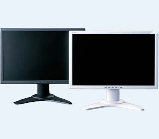 Buffalo 20inch LCD