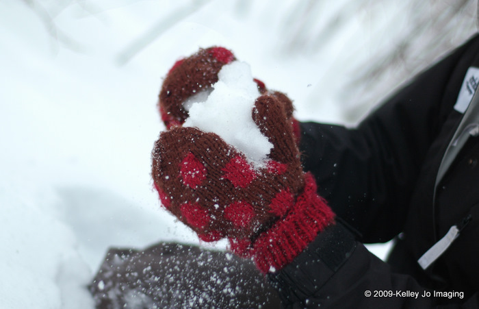 [01.21.10_KJK_0012.jpg]