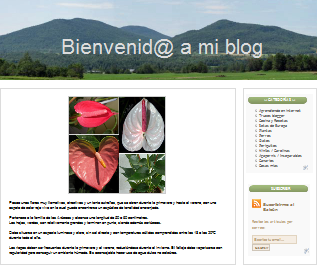 Colocar cualquier tipo de imagen como cabecera del blog Colocar cualquier tipo de imagen como cabecera del blog en blogger