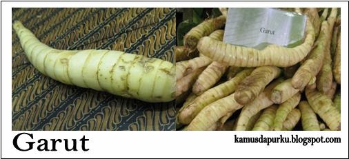 KAMUS DAPURKU: Umbi Garut