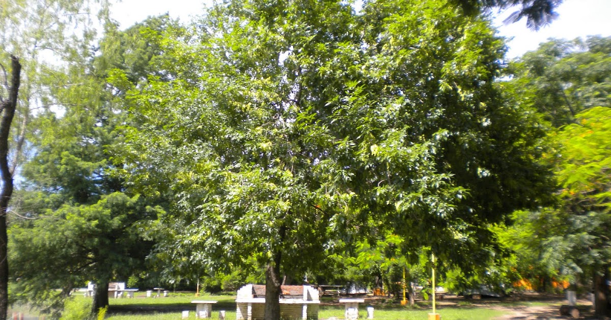 v e r d e c h a c o Fresno