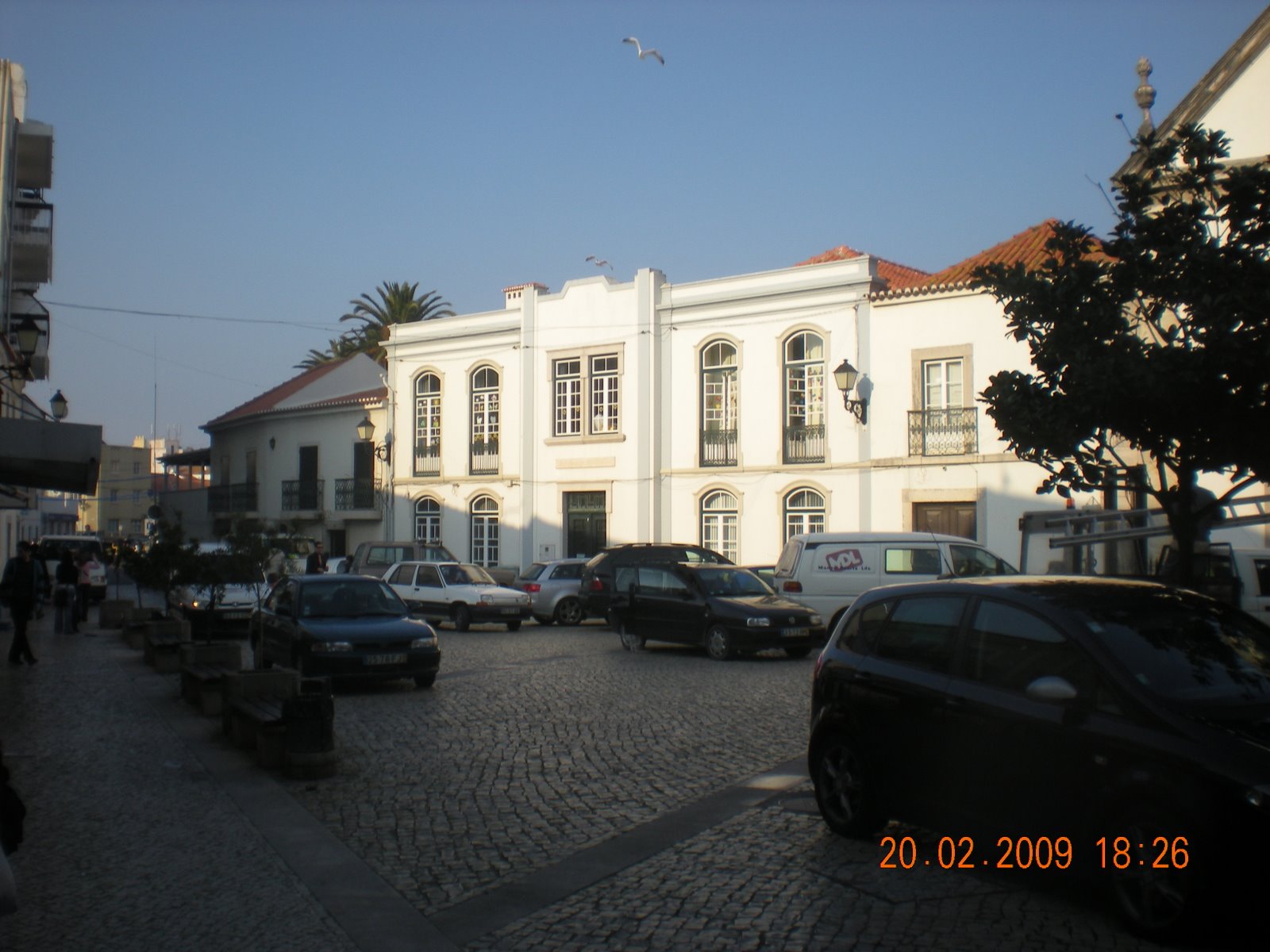 [DSCN1480.JPG]